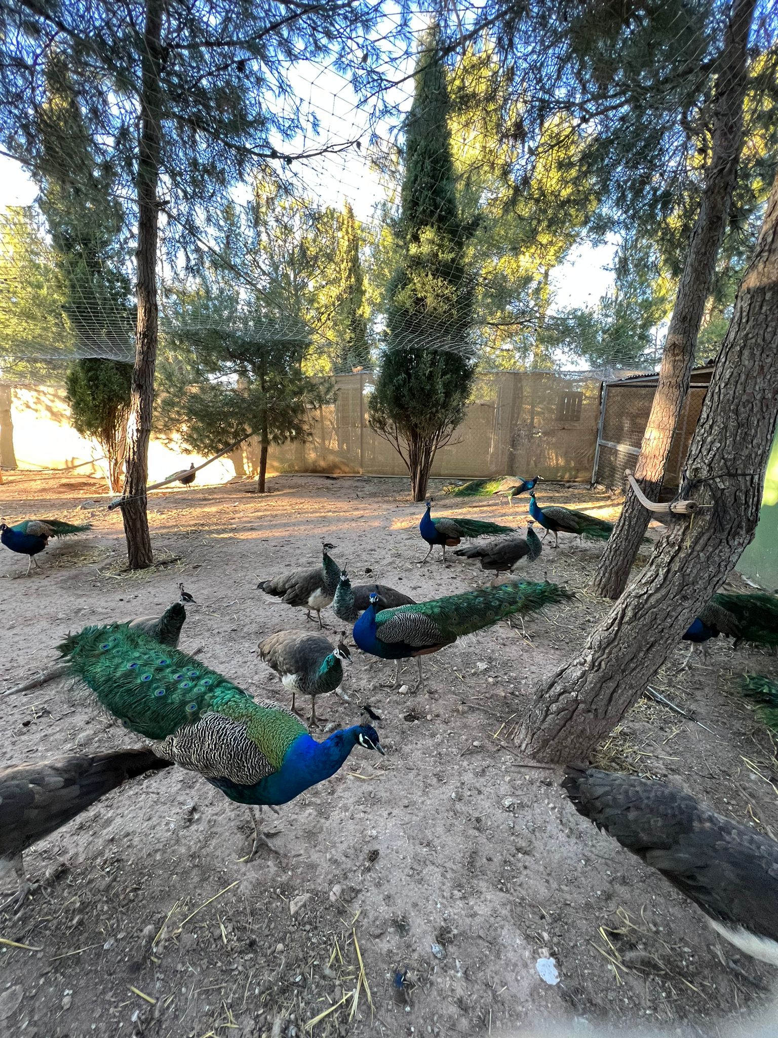 Ave del Bioparque La Rocha