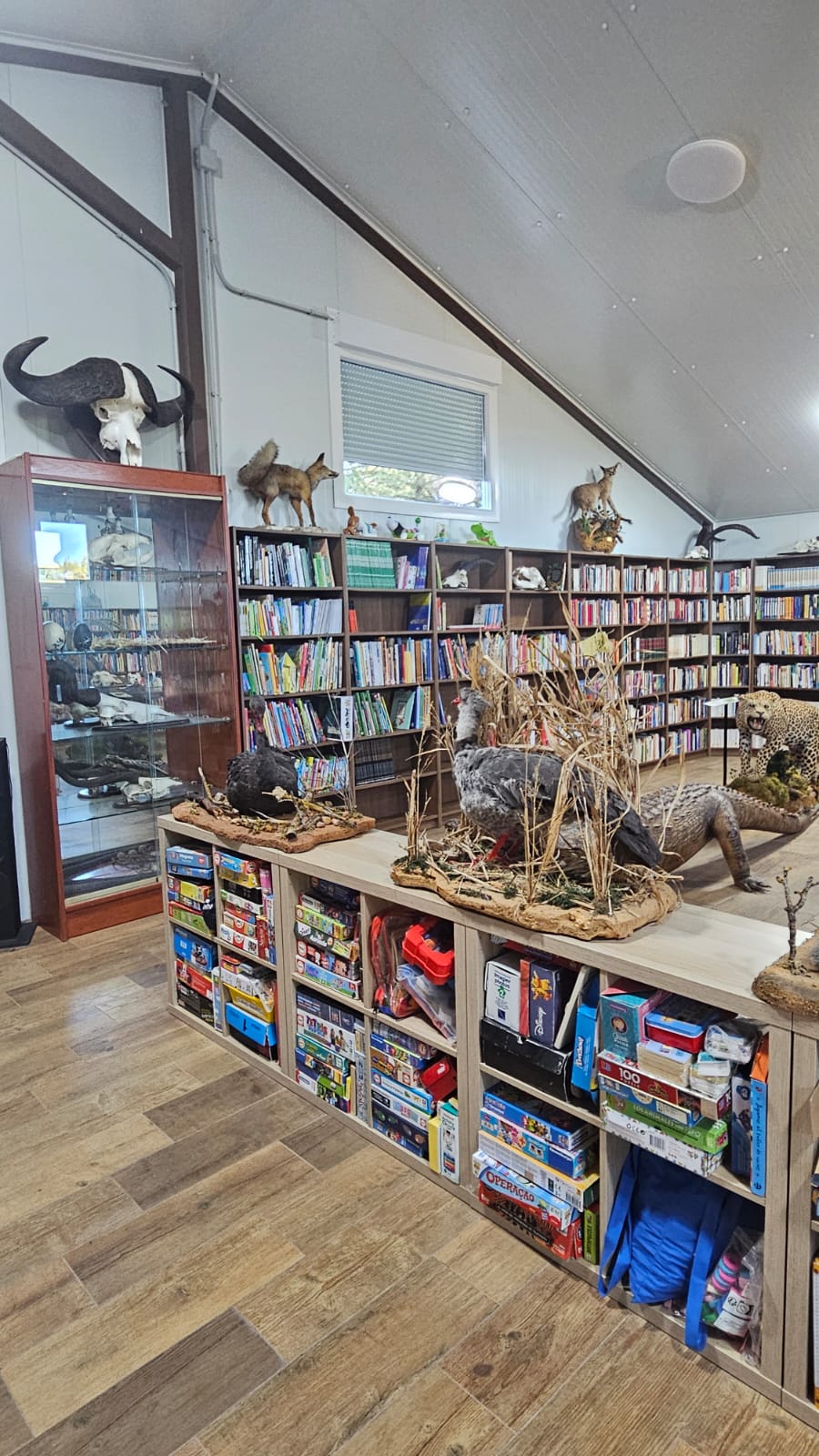 Estanterías de libros y piezas de naturaleza