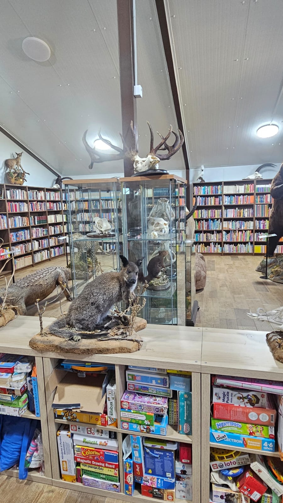 Vitrina y estanterías de la biblioteca