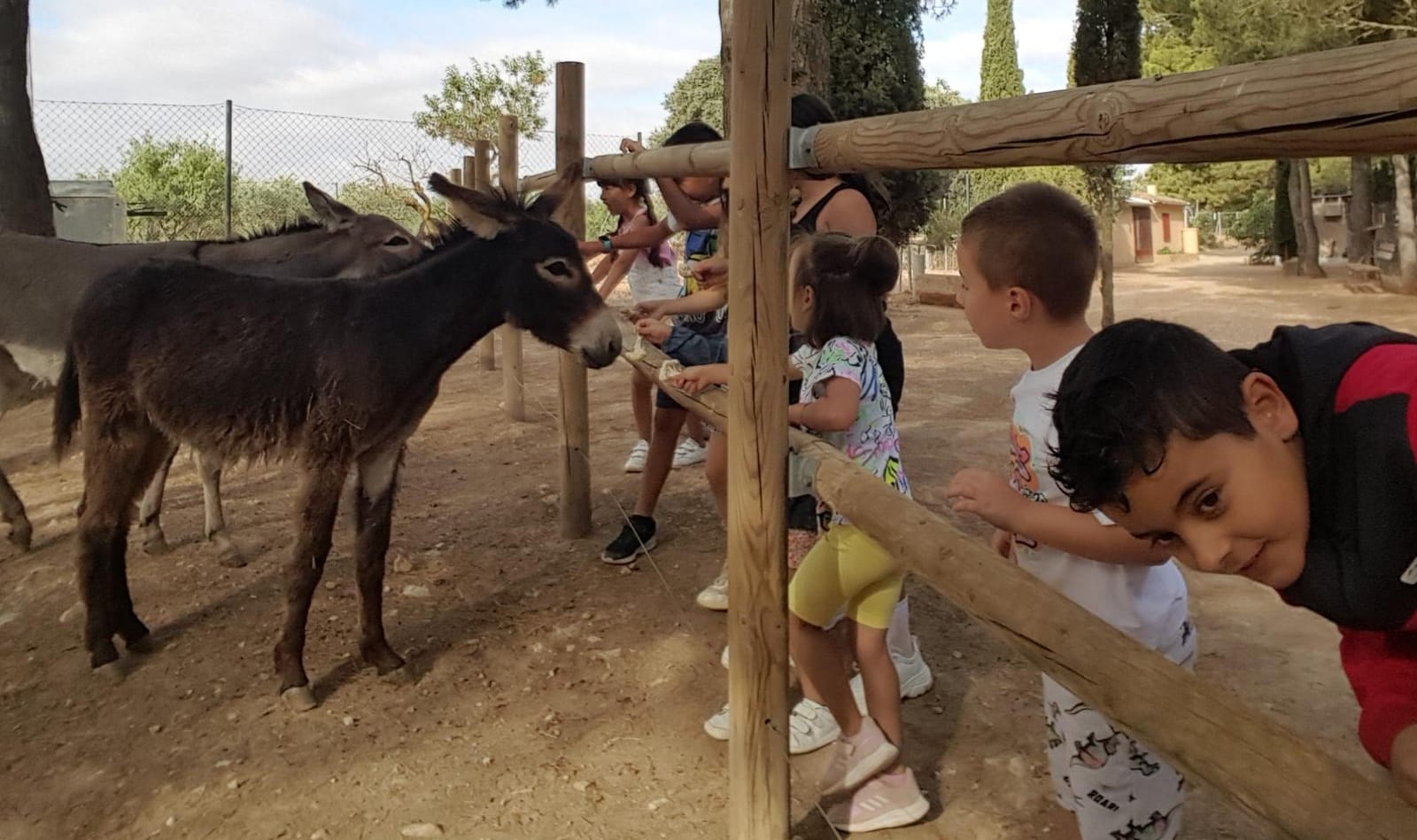 Visitas escolares