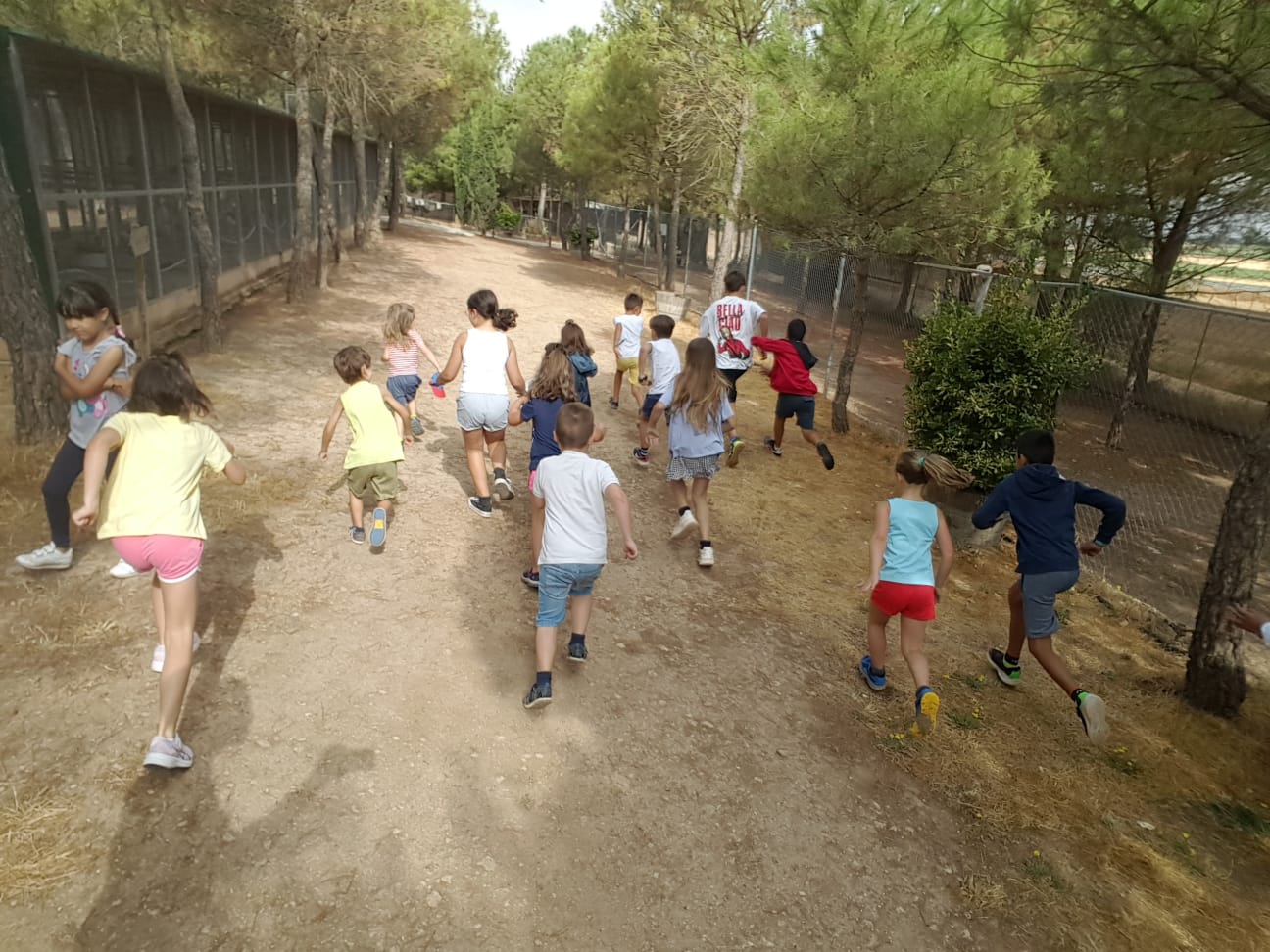 Alumnos con los burros del Bioparque